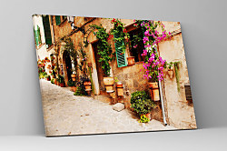 Obraz Kvety na stene zs1125